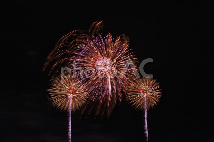 3つの打ち上げ花火 花火,花火大会,打ち上げ花火の写真素材