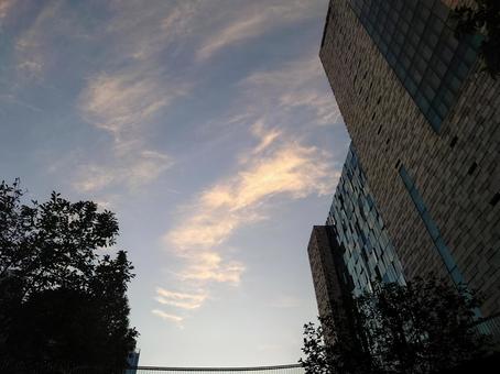 オフィスビル オフィスビルの写真