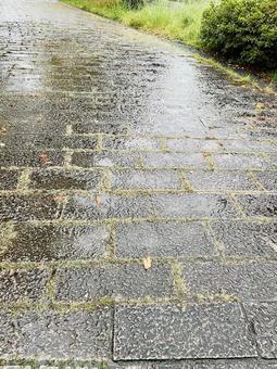 石畳の道　雨の日 道,雨,石畳の写真素材