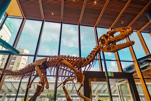 【福井】恐竜王国の福井駅周辺の写真