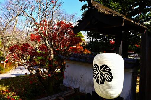 奥殿陣屋の秋の風景 奥殿陣屋,秋の風景,もみじの写真素材