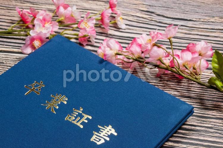 桜の花と卒業証書入れ 卒業,卒業式,門出の写真素材