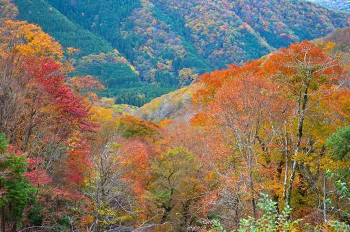 秋の山3 秋の風景,紅葉,秋の写真素材