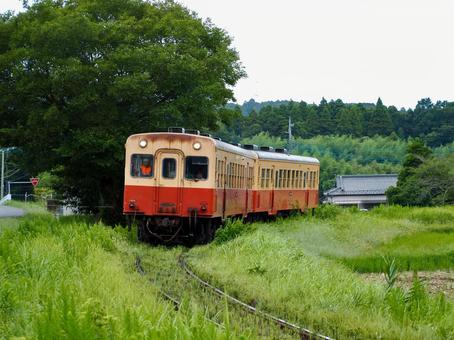 小湊鐵道 キハ200形 211 212 小湊鐵道 キハ200形 211 212 小湊鐵道,小湊鉄道,小湊の写真素材