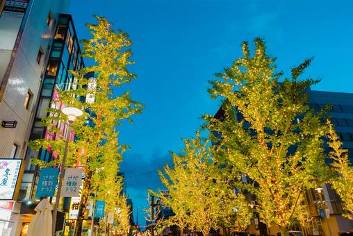 【佐賀】佐賀駅の周辺　イルミネーション 佐賀駅,佐賀,駅前の写真素材