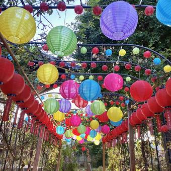 カラフルな提灯 カラフルな提灯 寺,イベント,祭りの写真素材