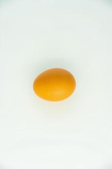 白い背景に佇む新鮮な卵 卵,玉子,鶏卵の写真素材