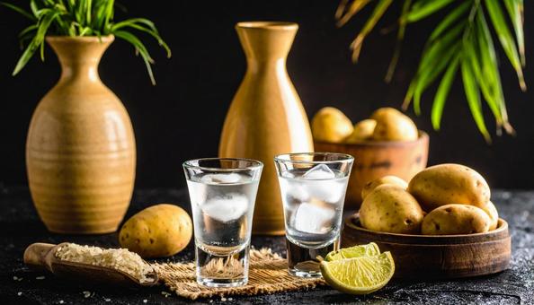 焼酎 お湯割り 焼酎 お湯割りの写真