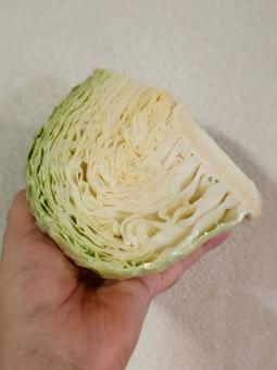 キャベツを手に持つ人 キャベツを手に持つ人の写真