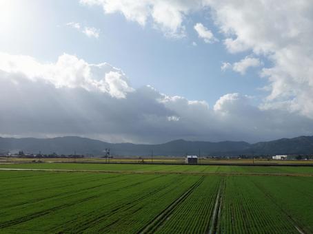 Photo, fukui prefecture, sonbaharın sonbaharında, pirinç tarlası, 