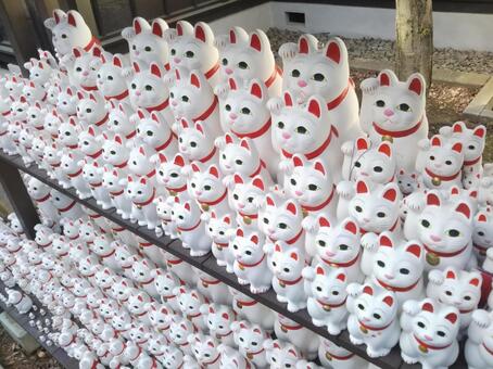 招き猫　右 寺,まねきねこ,招き猫の写真素材