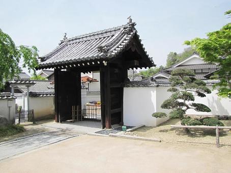 【風景写真】浄念寺(広島県三原市)の風景 【風景写真】浄念寺(広島県三原市)の風景 浄念寺,浄土真宗,寺社仏閣の写真素材