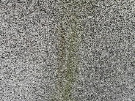 コケが付着した外壁① コケが付着した外壁① リシン吹付,リシン,壁の写真素材