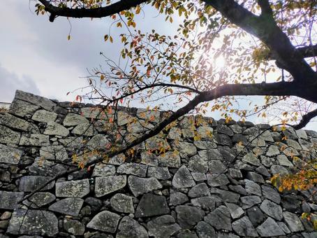 公園 福岡,公園,秋の写真素材