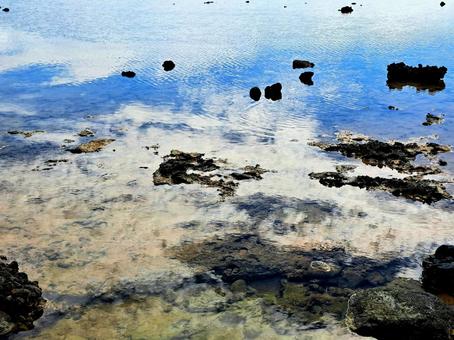引き潮の海 奄美 引き潮の海 奄美の写真
