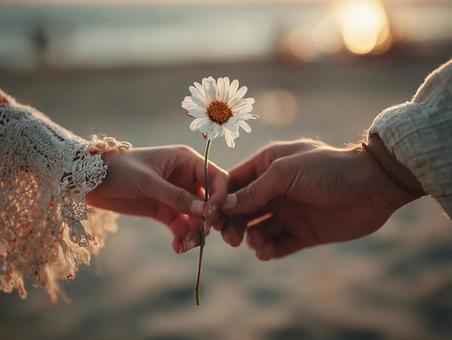 愛を込めて贈られる小さなデイジーの花束 愛を込めて贈られる小さなデイジーの花束の写真