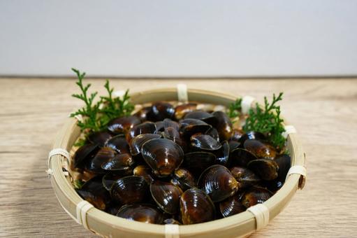 ザルに盛られた新鮮なしじみ ザルに盛られた新鮮なしじみ しじみ,貝,蜆の写真素材