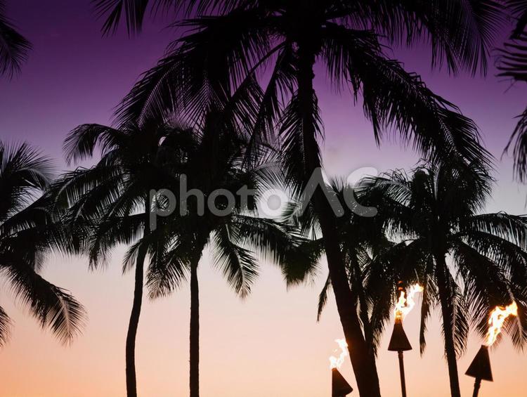 ワイキキビーチの夕日 ハワイ,ワイキキ,夕日の写真素材
