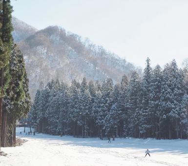 スキー場 雪,ゲレンデ,コースの写真素材