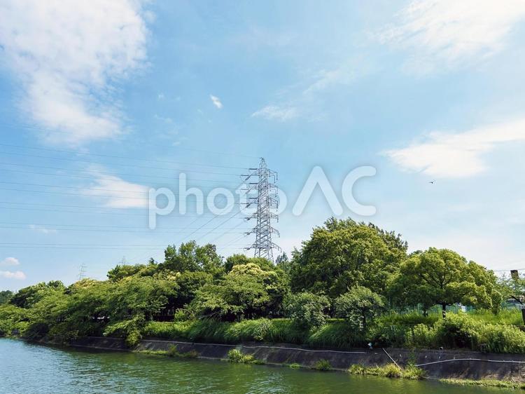 爽やかな空模様と鉄塔と木々 空模様,空,雲の写真素材