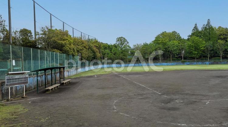 野球場 野球,球場,草野球の写真素材
