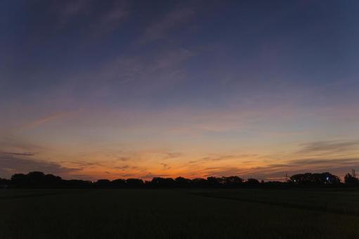 Summer tiled roof at dawn , JPG