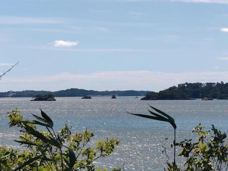 松島海岸 松島海岸 松島海岸,海,松の写真素材