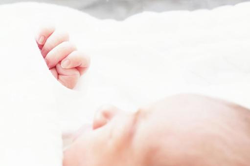 新生児の手-7 新生児の手-7 赤ちゃん,新生児,ベビーの写真素材