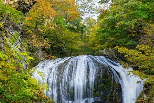秋の関山大滝⑹ 秋,紅葉,滝の写真素材