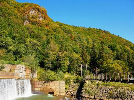 景色７ 橋,吊り橋,紅葉の写真素材