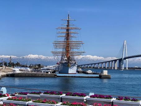 海王丸2 海王丸,海の貴婦人,帆船の写真素材