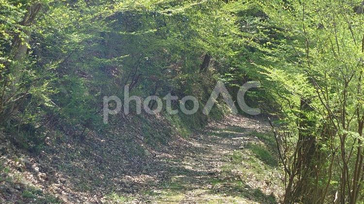 新緑 風景,山,春の写真素材