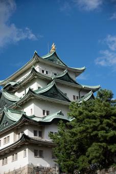 青空と金鯱輝く名古屋城 名古屋城,城,天守閣の写真素材