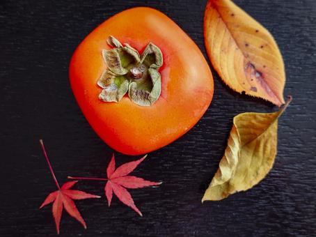 柿、もみじ、落ち葉1 柿,もみじ,落ち葉の写真素材