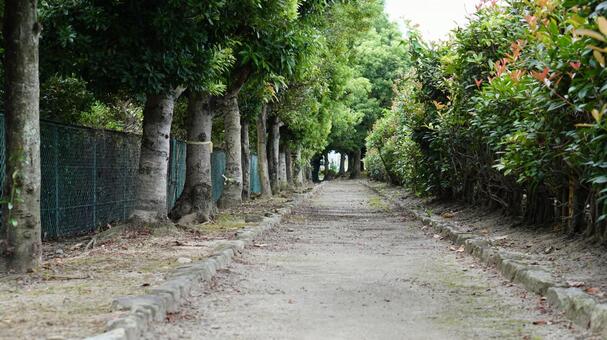 遊歩道の写真