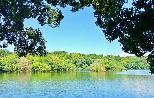 暑い夏の一碧湖風景 25 一碧湖,木洩れ日,自然の写真素材