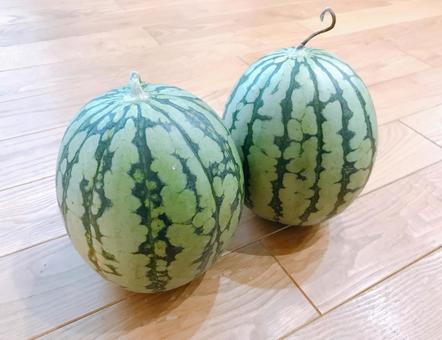 watermelon, JPG