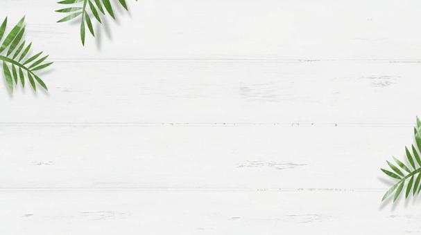 Botanical frame of leaves of foliage plants on a white wood background, pigura, latar mburi, gandum kayu, JPG