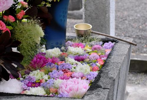 花手水 花手水,神社,手水の写真素材