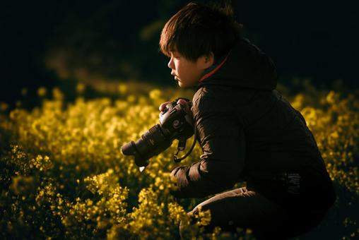 <Material> A boy photographing rape blossoms at dawn, JPG <Material> A boy photographing rape blossoms at dawn, JPG