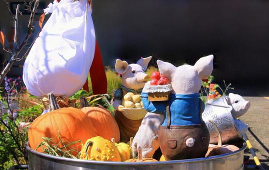 ハロウィン飾り・展示/とっとり花回廊 ハロウィン飾り・展示/とっとり花回廊 ハロウィン,飾り,収穫祭の写真素材