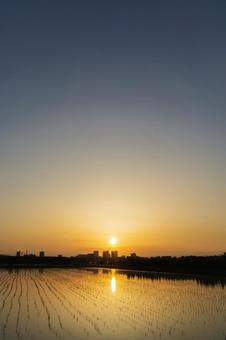 夕日に包まれたさいたま新都心 夕日に包まれたさいたま新都心 夕焼け,夕日,マジックアワーの写真素材