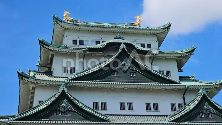 名古屋城 名古屋城,お城,城の写真素材