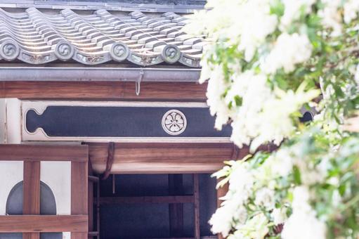 蔵の入り口 蔵の入り口の写真