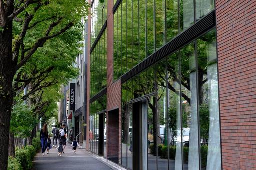［東京都港区］プラチナ通り｜白金台 白金台,白金,プラチナ通りの写真素材