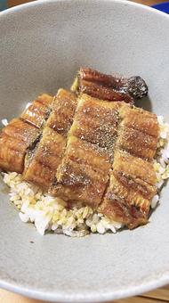 鰻丼 鰻丼 うなぎ,土用の丑の日,鰻重の写真素材