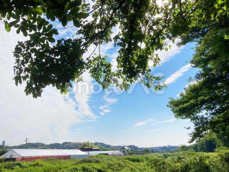 青空と鮮やかな緑のある風景写真素材_ab_12 自然,風景,景色の写真素材
