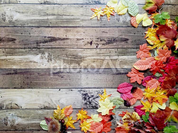 秋の落葉のフレーム ウッド,背景,木材の写真素材