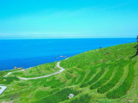 白米千枚田の棚田 白米千枚田の棚田 棚田,能登半島,地震の写真素材