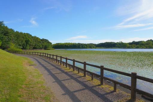 Suhara Park Promenade Kariya City, Aichi Prefecture, JPG Suhara Park Promenade Kariya City, Aichi Prefecture, JPG